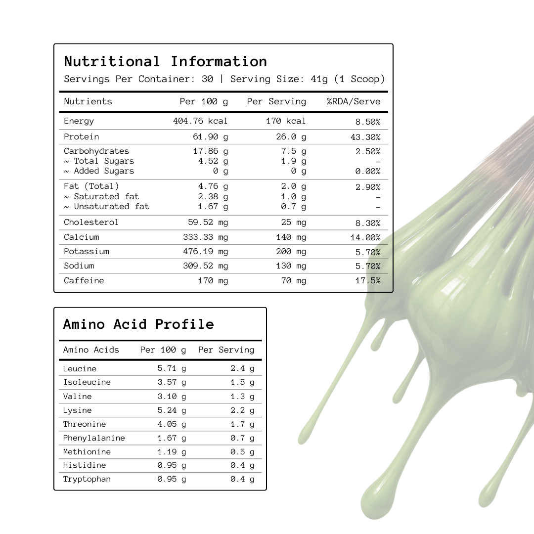 Matcha x Protein | 26 Grams Protein | Polmlek® 30 Servings