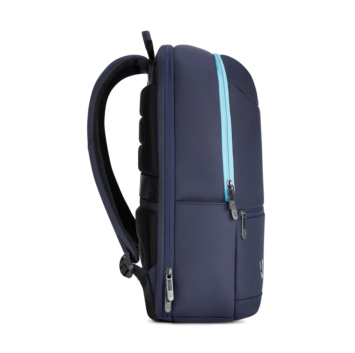 Urban Jungle Domain Workpack