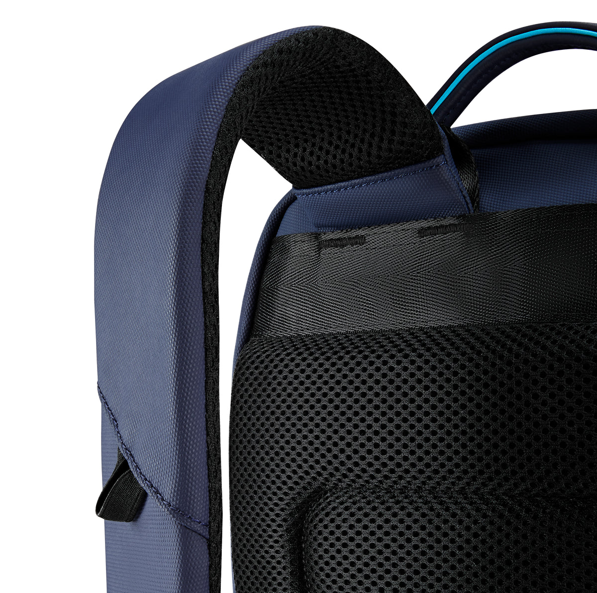 Urban Jungle Domain Workpack