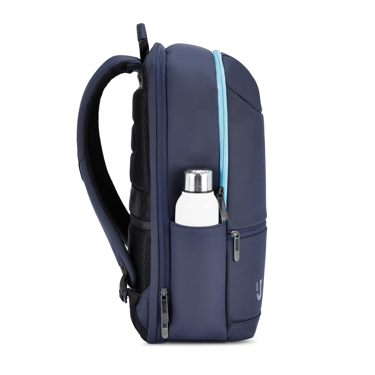 Urban Jungle Domain Workpack