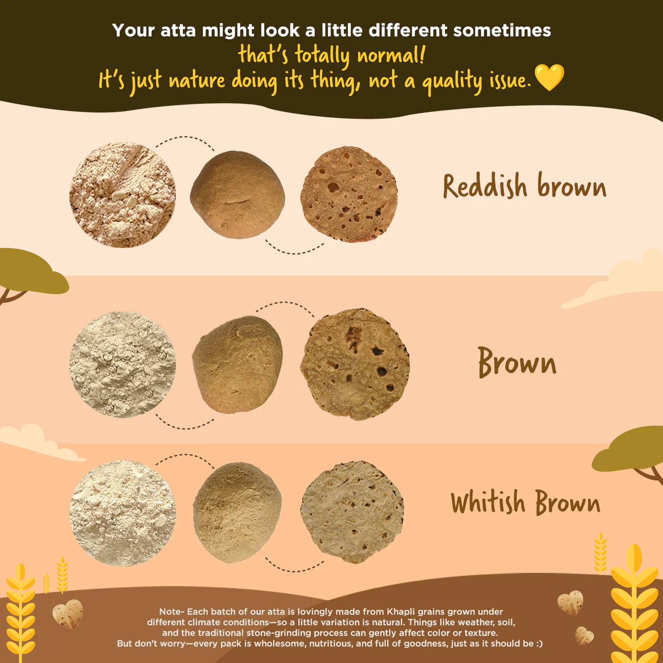 Khapli Wheat Atta (Emmer Wheat Flour) Atta Stone Ground | Two Brothers Organic Farms