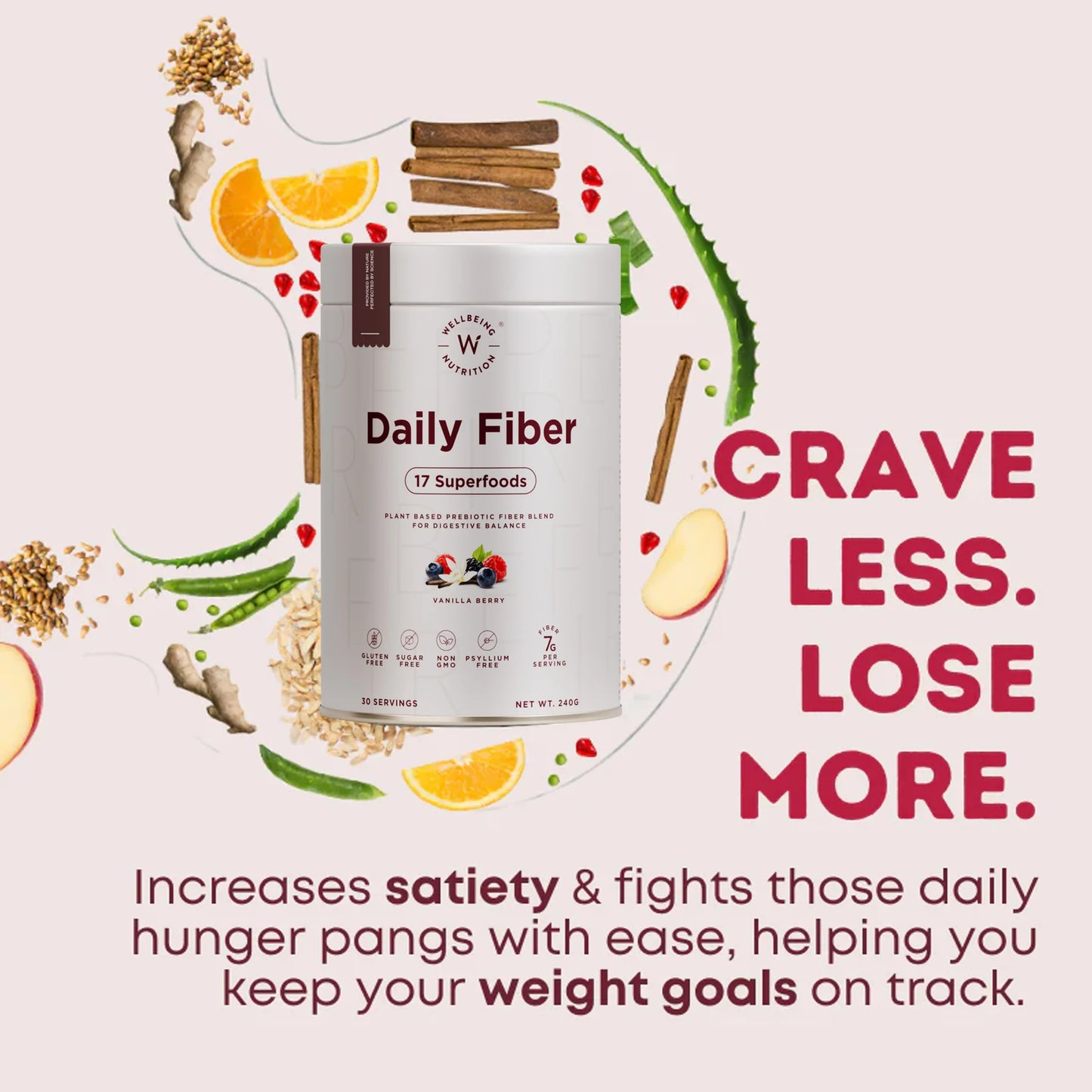 Daily Fiber | Vanilla Berry Flavour | Wellbeing Nutrition