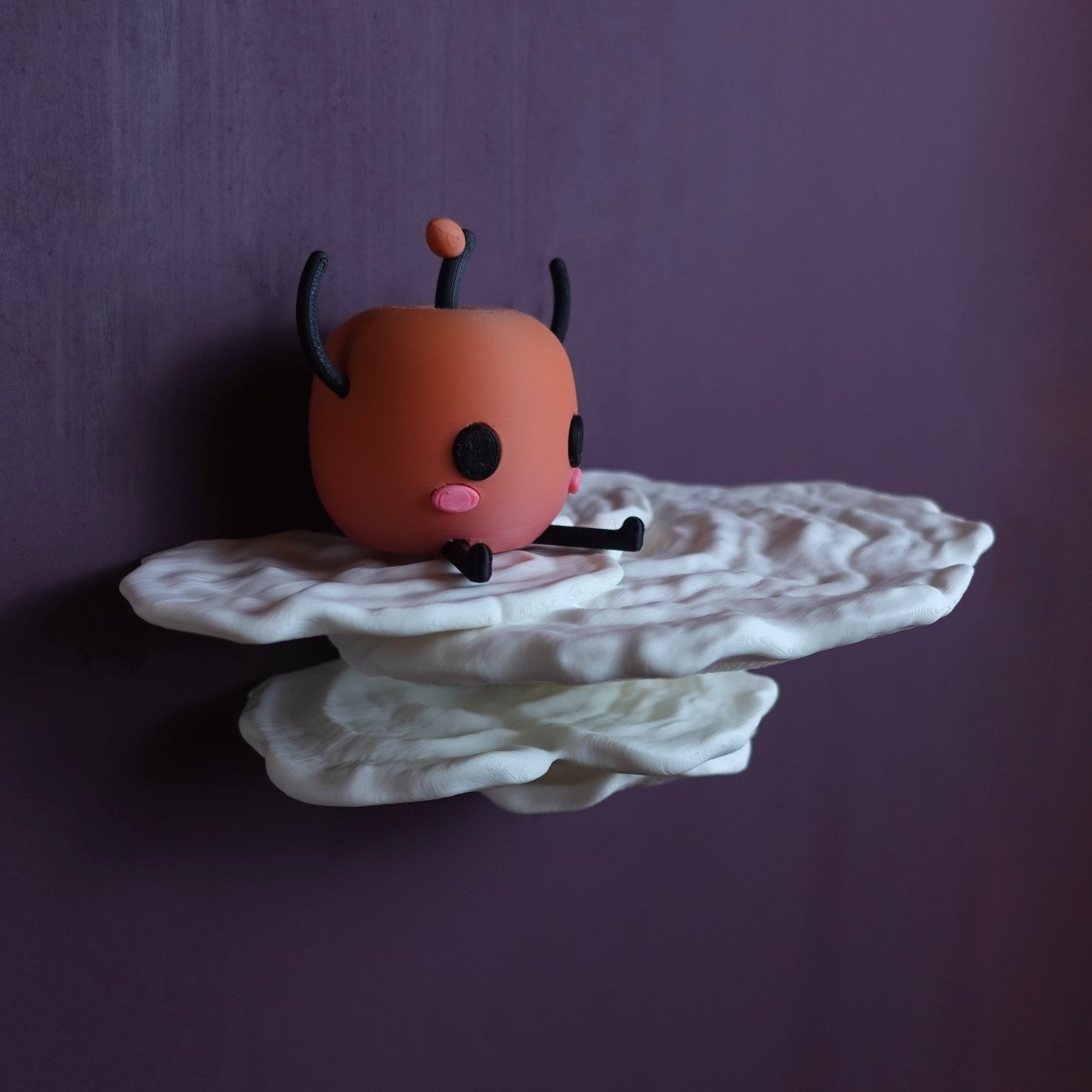 Gibbosa Fungus Shelf