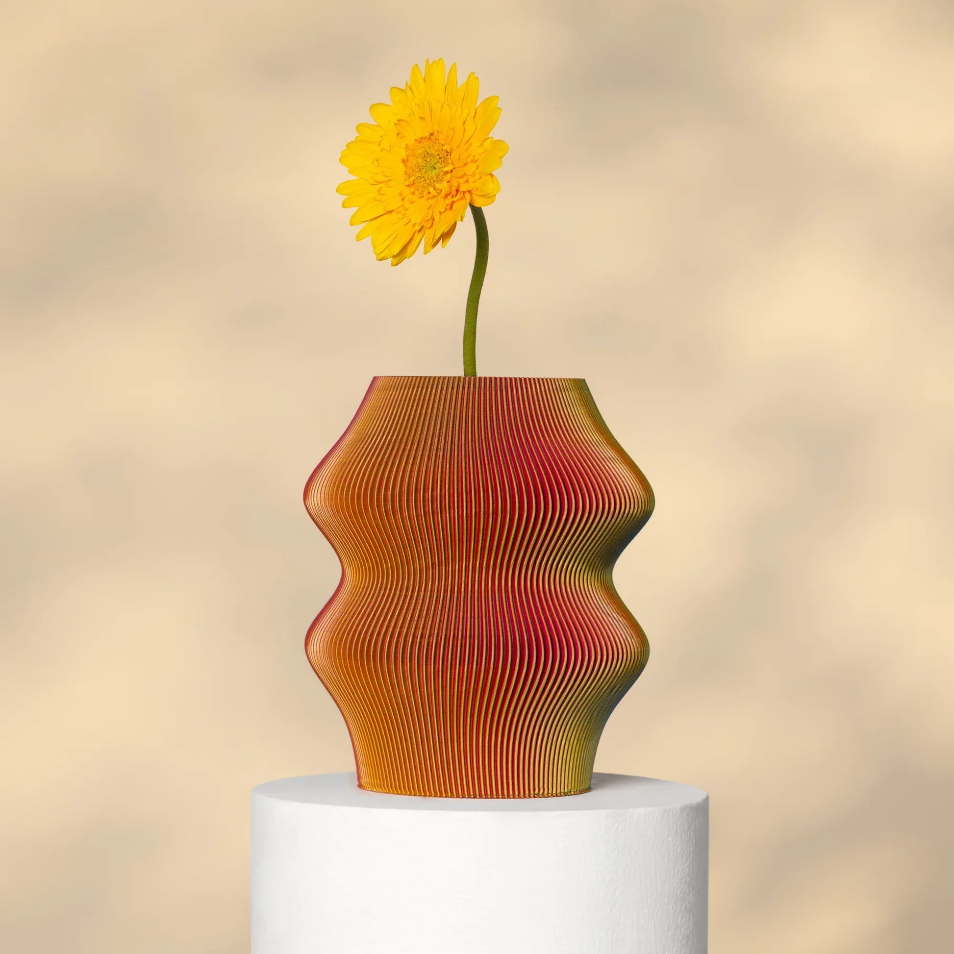 Phantom Vase RYB