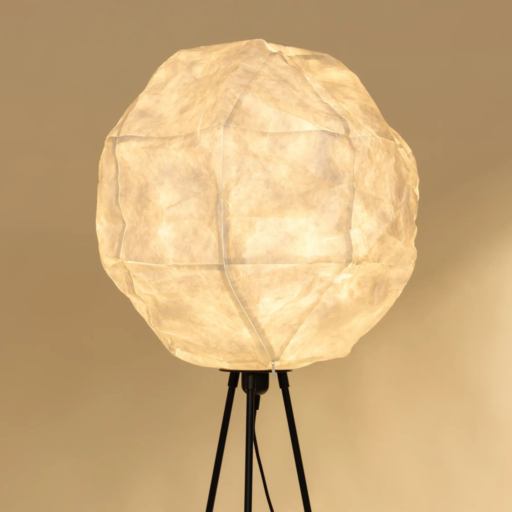 Luna Floor Lamp