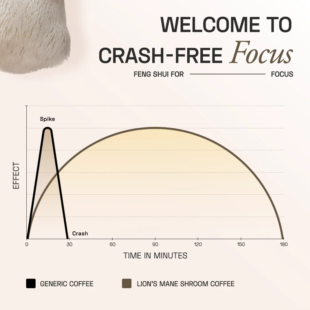 Lion's Mane Shroom Coffee