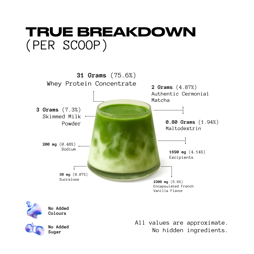 Matcha x Protein | 26 Grams Protein | Polmlek® 30 Servings
