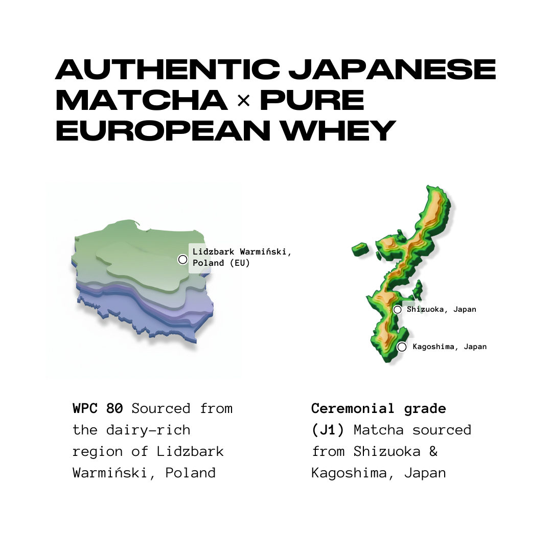 Matcha x Protein | 26 Grams Protein | Polmlek® 30 Servings