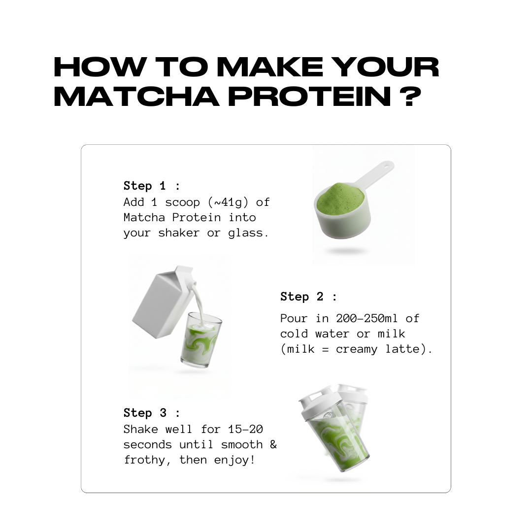 Matcha x Protein | 26 Grams Protein | Polmlek® 30 Servings