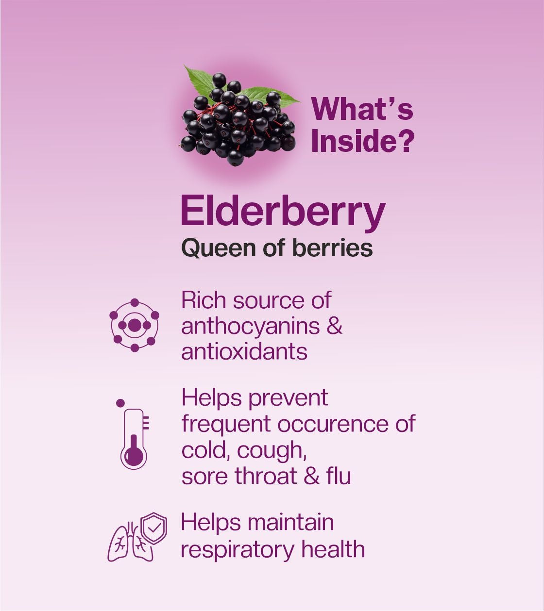 The Co. Being Elderberry GummyHugs