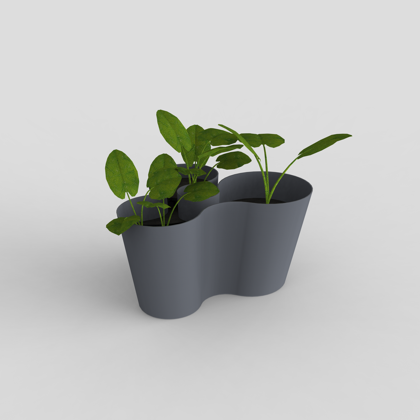 coral crest stand in orange color holding a plant