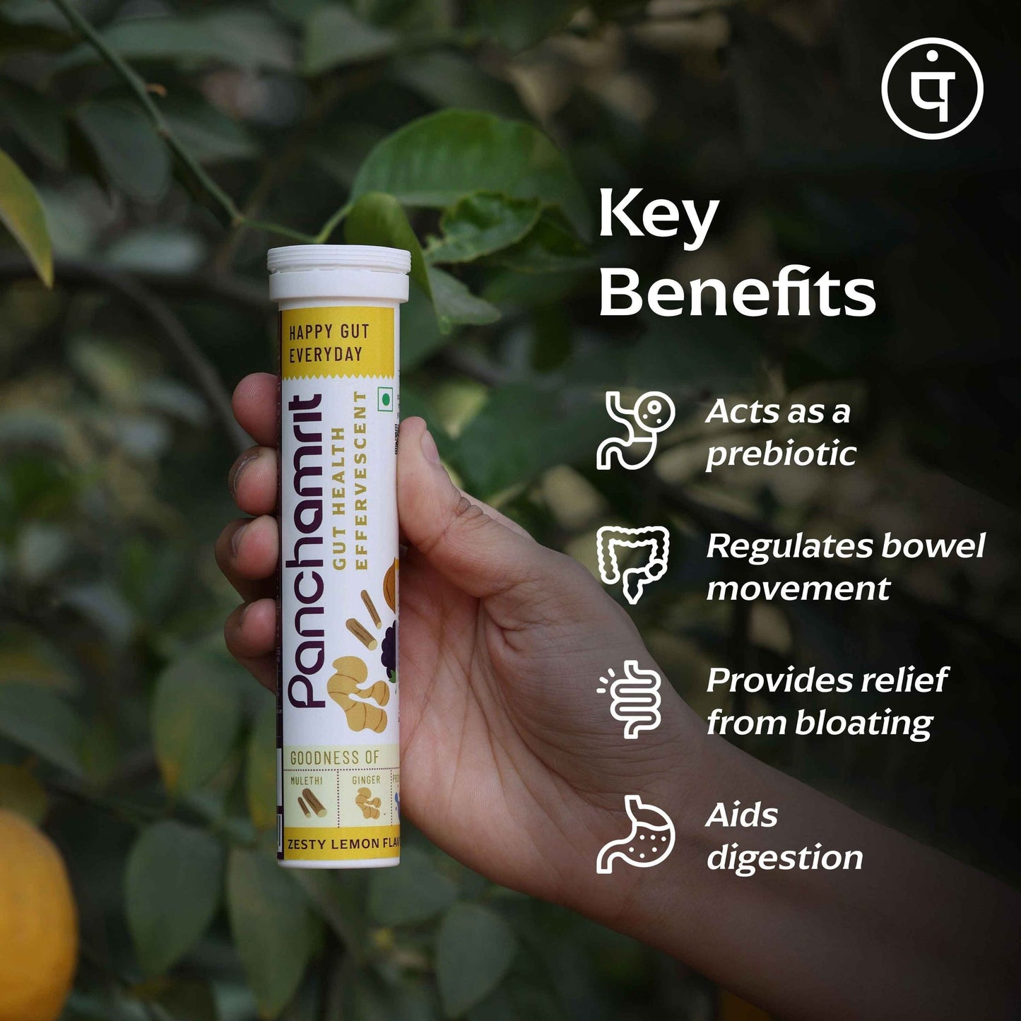 Panchamrit Gut Health Effervescent Tablets | Zesty Lime Flavor