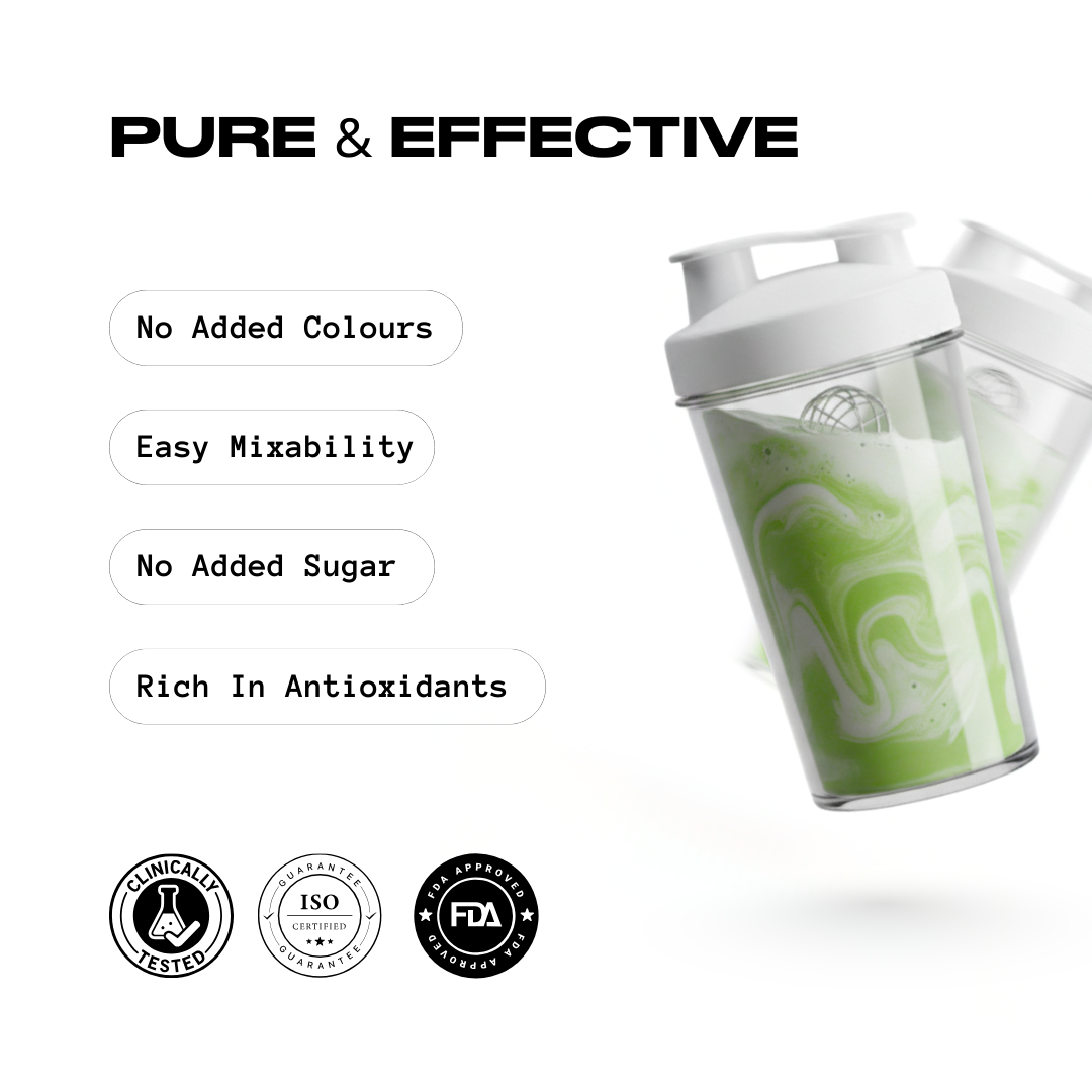 Matcha x Protein | 26 Grams Protein | Polmlek® 30 Servings