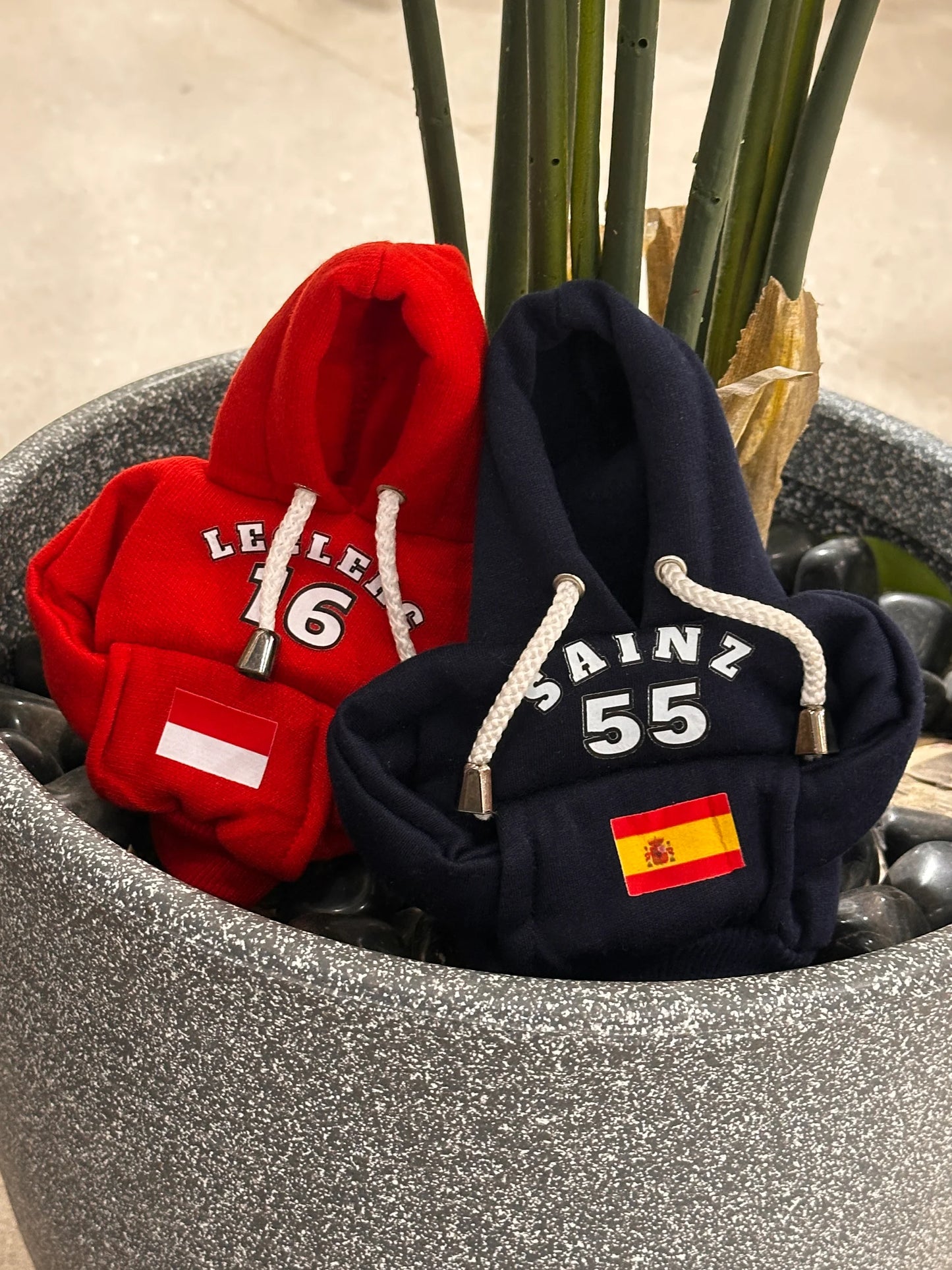 Car Gear Hoodies (F1 Driver Edition)