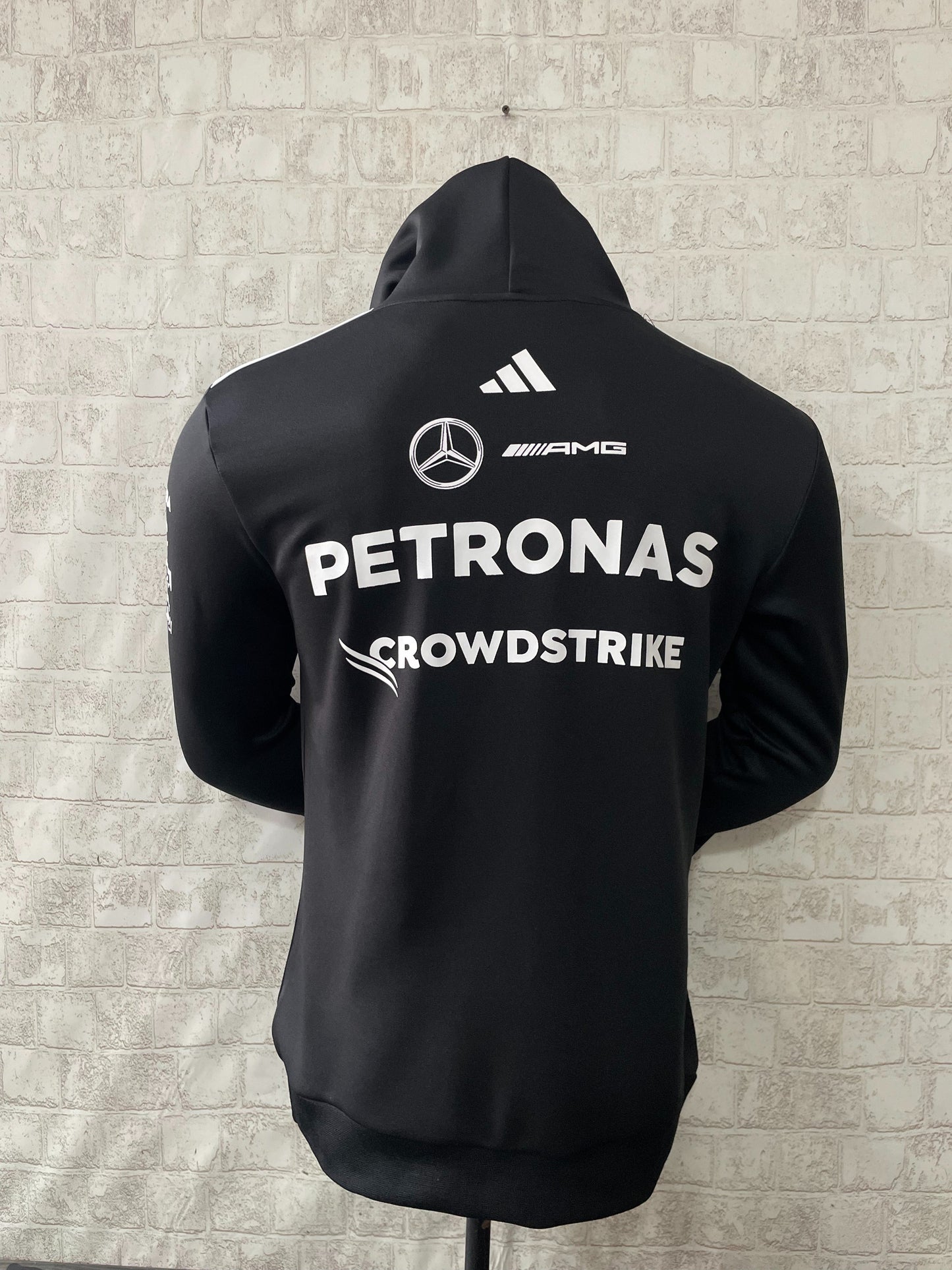 Mercedes - AMG Petronas 2025 Team Jersey Hoodie
