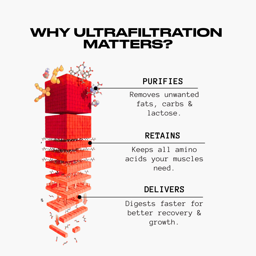 Whey Protein Concentrate | 100% Pure - 30 Servings