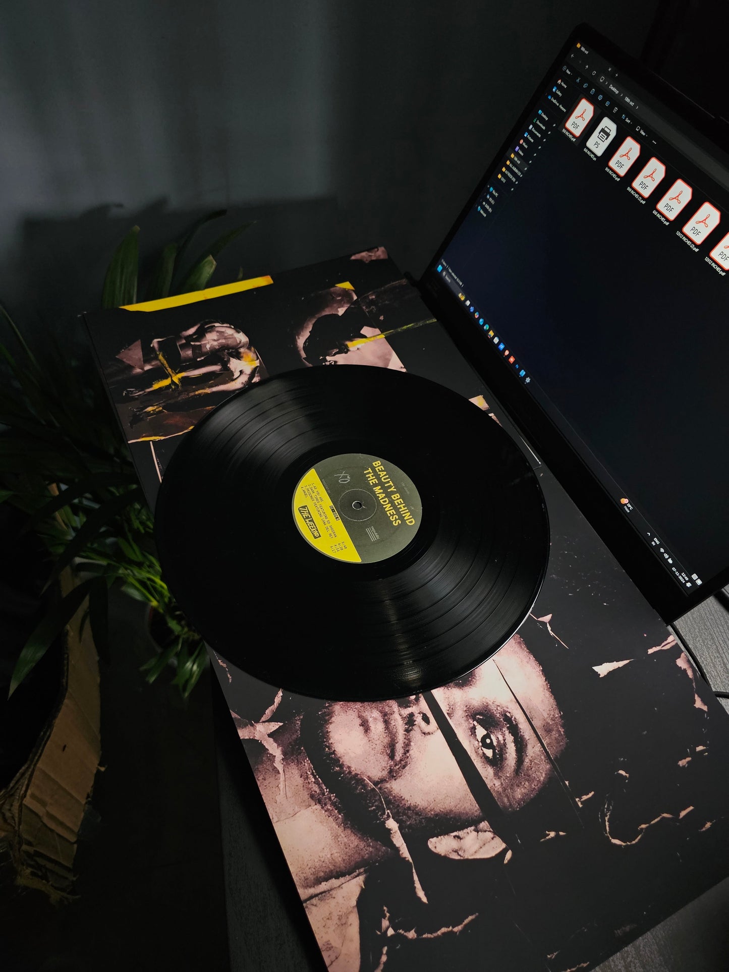 VINYL RECORDS - THE WEEKND