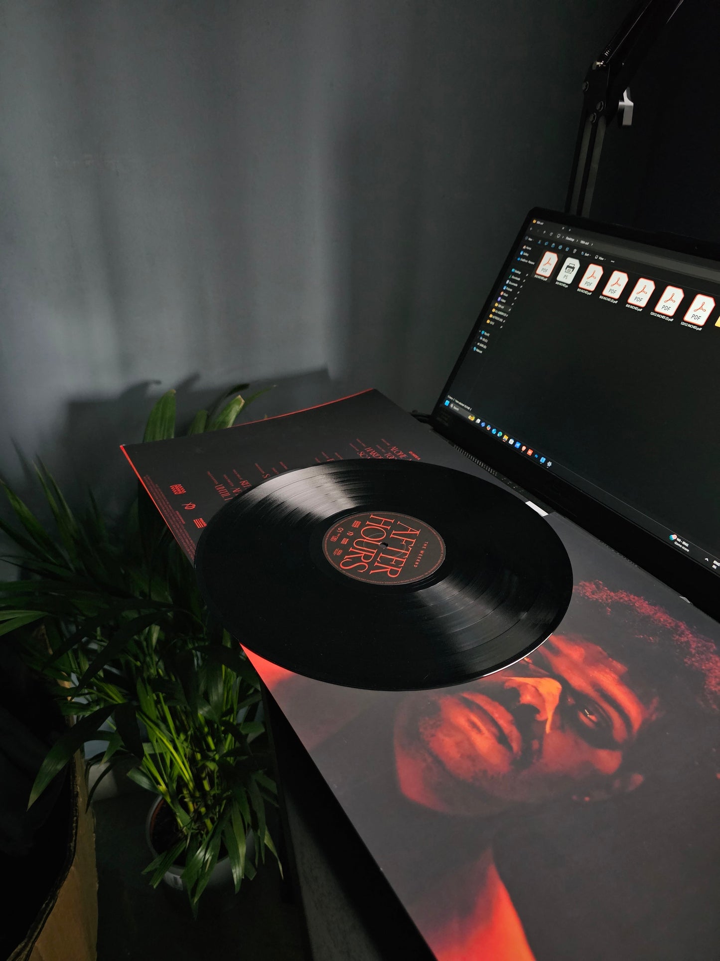 VINYL RECORDS - THE WEEKND